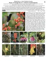 1372_ecuador_plants_hummingbirds_mashpireserve.pdf
