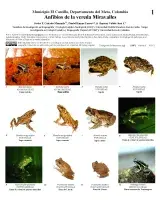 1387_colombia_colombia_amphibians_of_miravalles.pdf 
