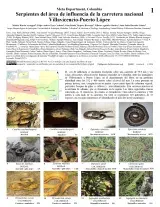1444_colombia_snakes_villavicencio_puerto_lopez_national_highway.pdf 