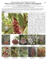 1460_ecuador_plants_santa_lucia_reserve_visited_hummingbirds