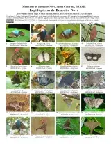 1470_brazil_lepidopteros_do_municipio_de_benedito_novo.pdf