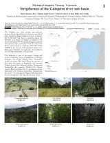 1480_venezuela_strigiformes_of_the_guaquira_river_sub-basin.pdf 