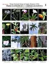 Matanzas -- Ciénaga de Zapata Conspicuous Plants