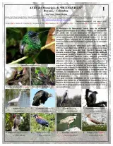  642_colombia_aves_de_buenavista_v3.pdf 