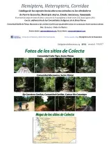 854_venezuela-coreidae_del_amazonas.pdf