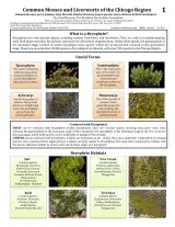  865_usa_mosses_and_liveworts_of_chicago.pdf
