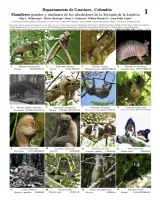  880_colombia_mammals_of_guaviare.pdf 