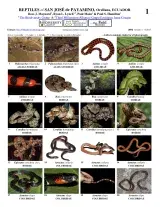  890_ecuador_reptiles_of_payamino.pdf 