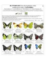  931_colombia_butterflies_of_ne_andes.pdf 