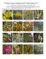946_colombia_orchids_of_guanachas.pdf 