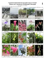 977_ecuador_plantas_del_cementerio_guayaquil.pdf