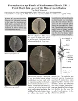 978_usa_fossil_shark_egg_cases_of_mazon_creek.pdf 