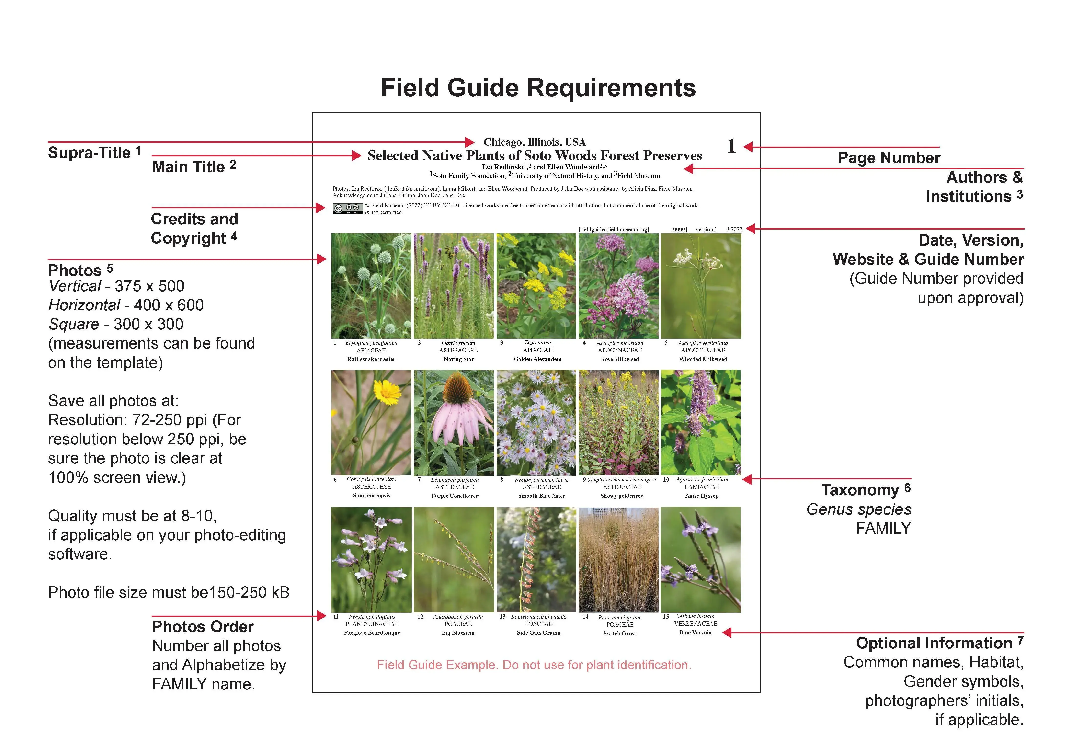 sites/default/files/field/, rat kings 