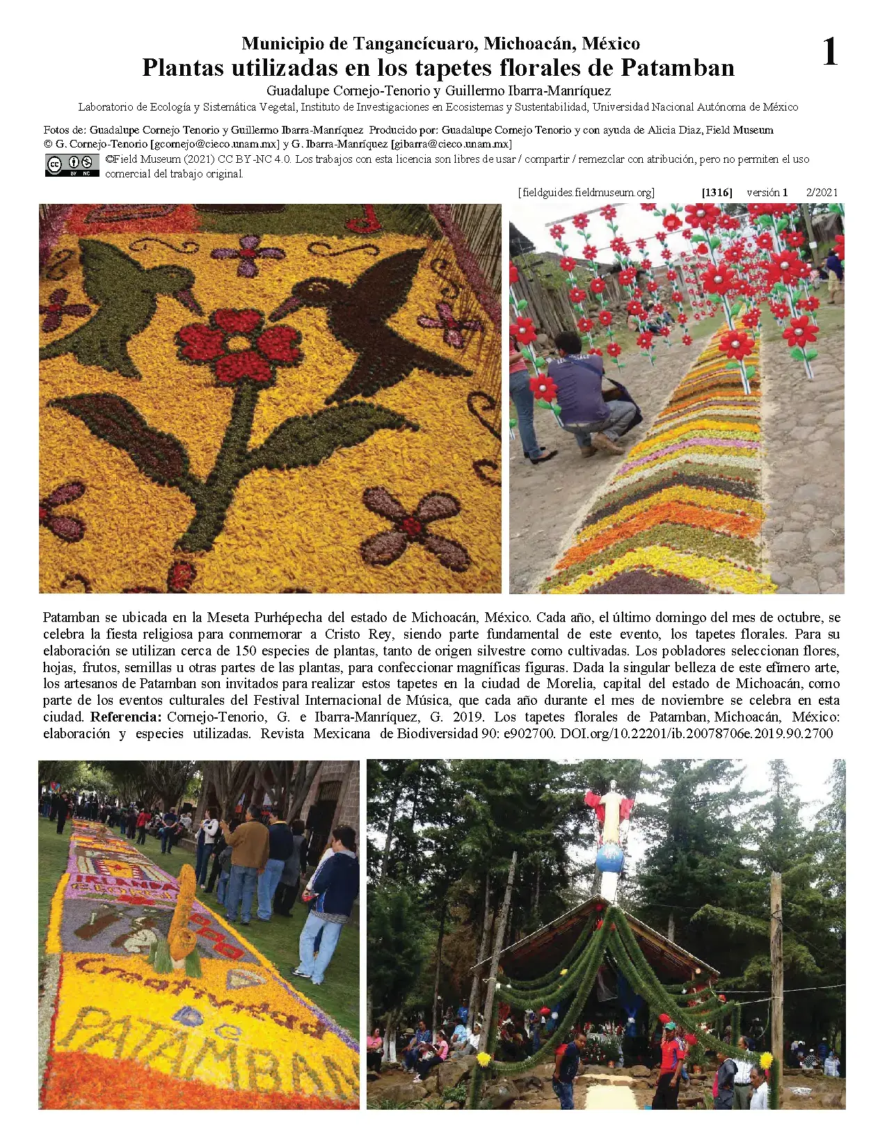  1316_mexico_plants_used_in_patamban_floral_rugs_.pdf