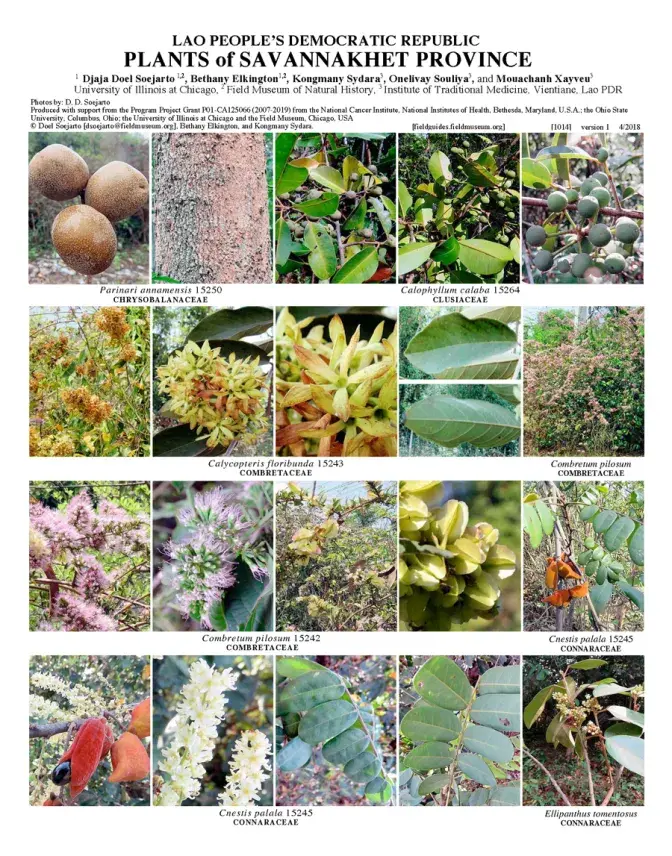 1014_lao_plants_of_savannakhet.pdf 