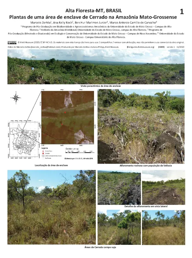 1019_brazil_plants_of_a_cerrado_island_in_mato_grosso_en.pdf