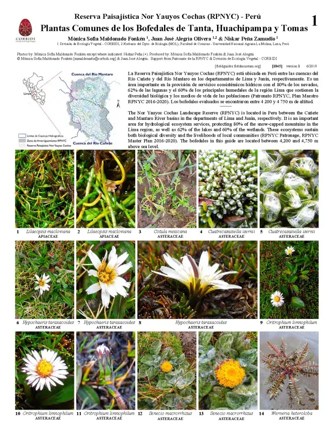 1045_peru_plants_of_tanta_huachipampa_tomas.pdf 