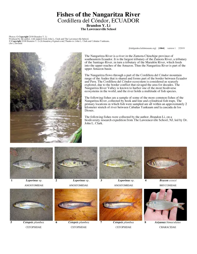 1064_ecuador_fishes_of_the_nangaritza_river.pdf 