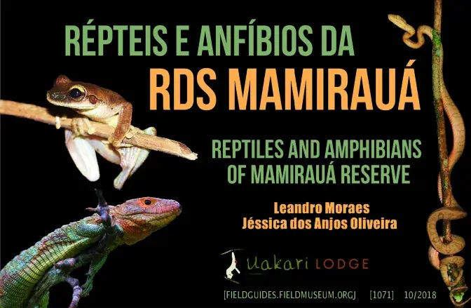 1071_brazil_reptiles_and_amphibians_of_mamiraua.pdf