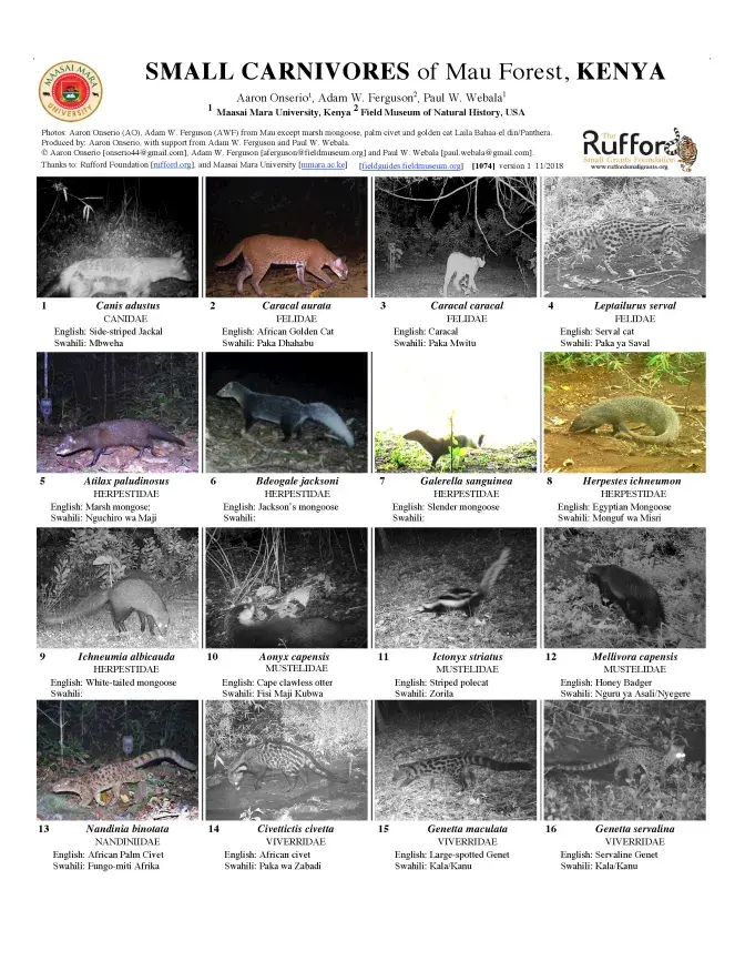  1074_kenya_small_carnivores_of_mau_forest.pdf