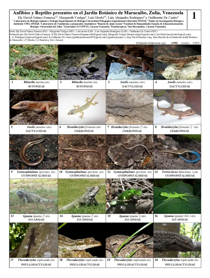 1098_venezuela_amphibians_and_reptiles_of_maracaibo_botanical_garden.pdf