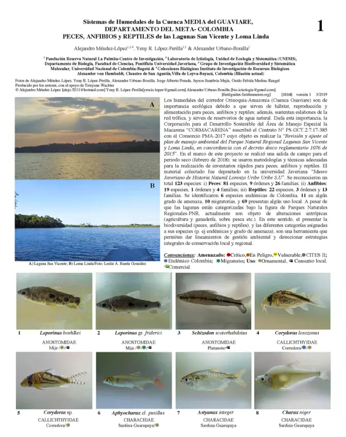1114_colombia_fish_amphibians_and_reptiles_of_the_san_vicente_and_loma_linda_lagoons.pdf 