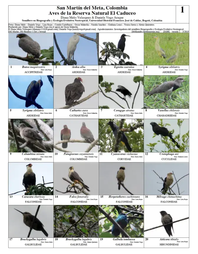 1118_colombia_birds_of_el_caduceo_natural_reserve.pdf 