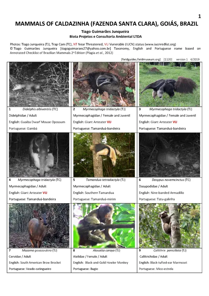 1120_brazil_mammals_of_caldazinha.pdf 