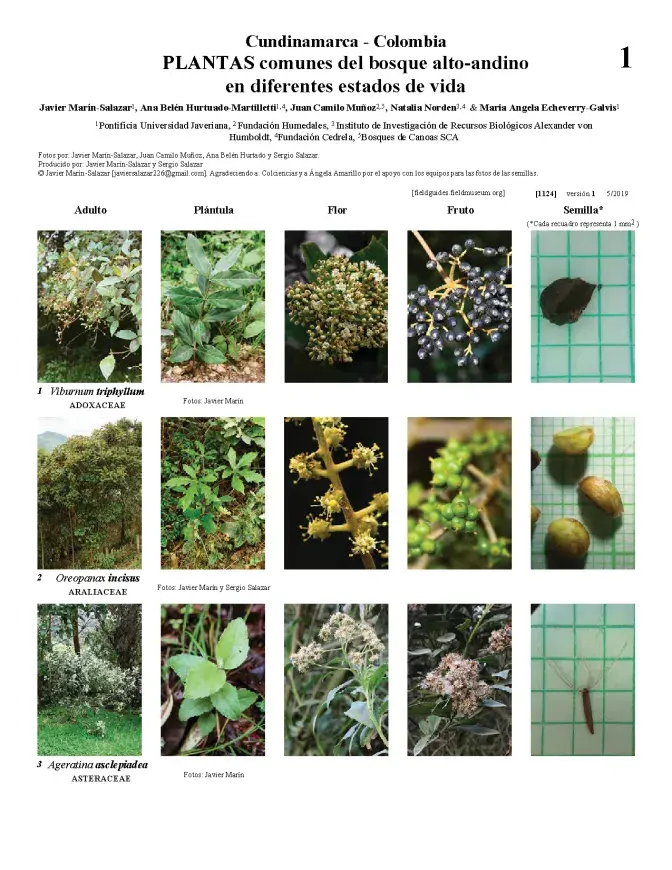 1124_common_plants_in_different_states_of_life.pdf 