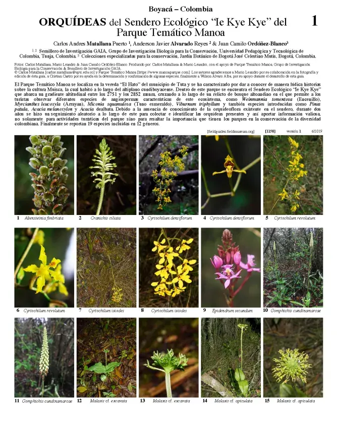 1158_colombia_orchidaceae_of_manoa_theme_park.pdf 