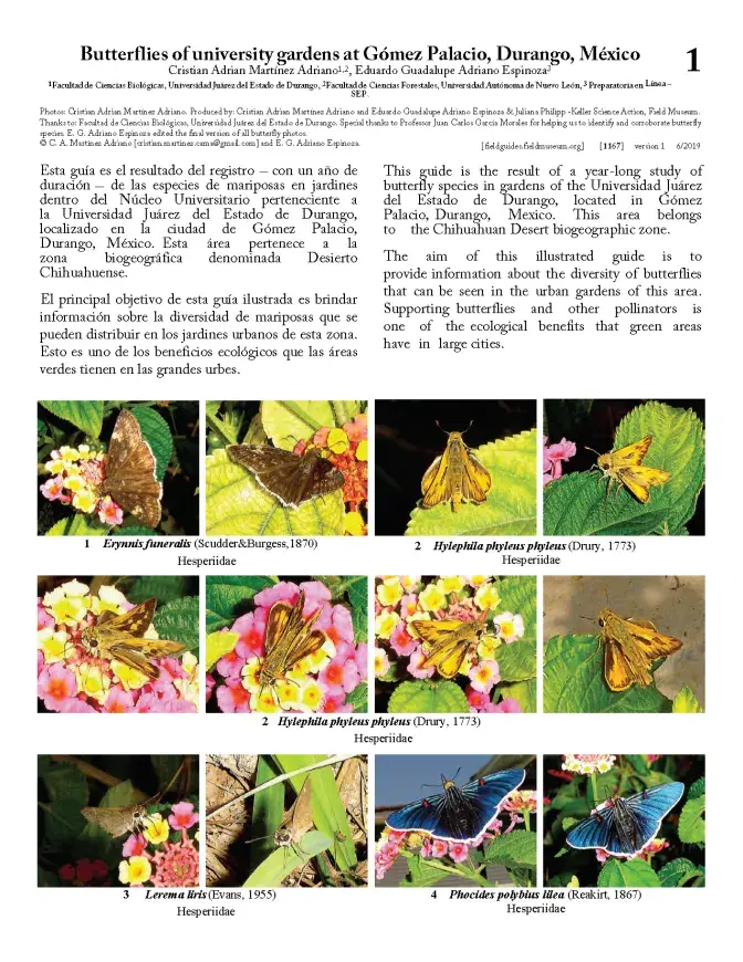 1167_mexico_butterflies_of_gomez_palacio_university.pdf