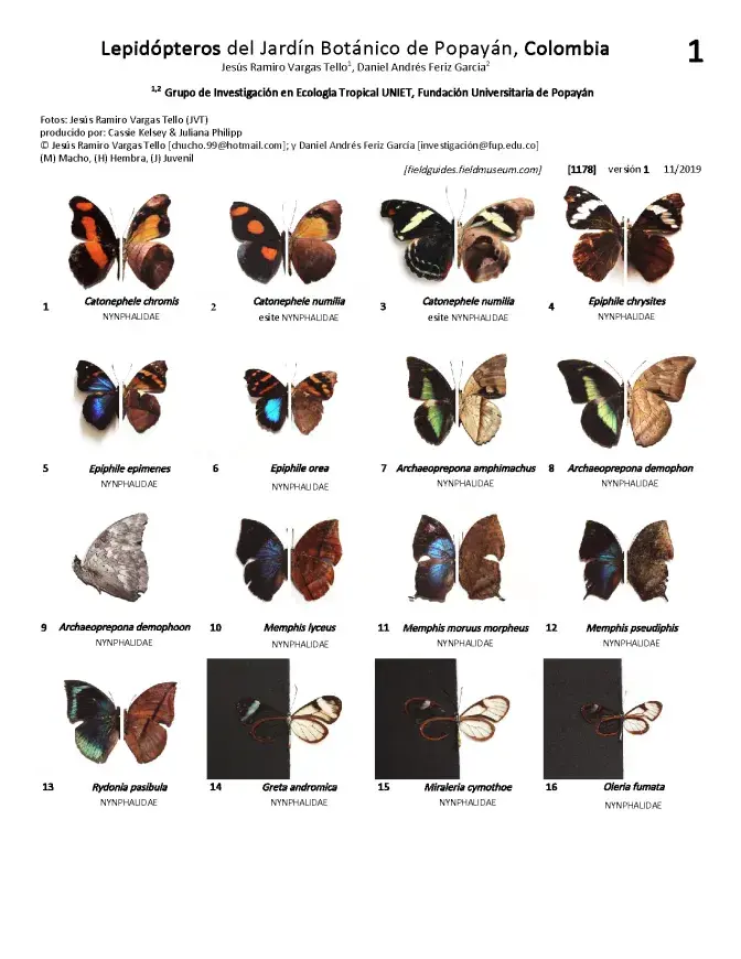 1178_colombia_lepidopteros_of_popayan_botanical_garden.pdf 