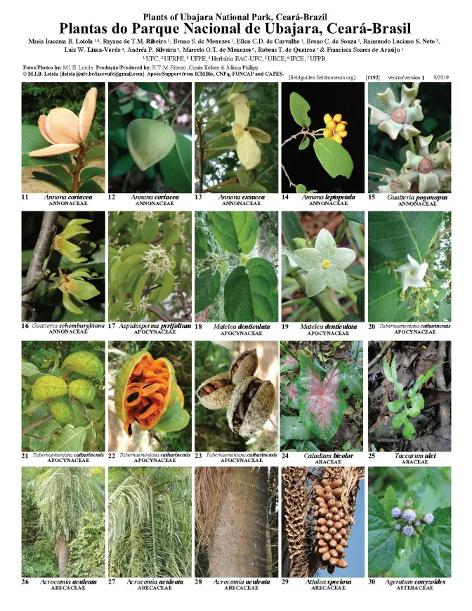  1192_brazil_plants_of_ubajara_national_park.pdf 