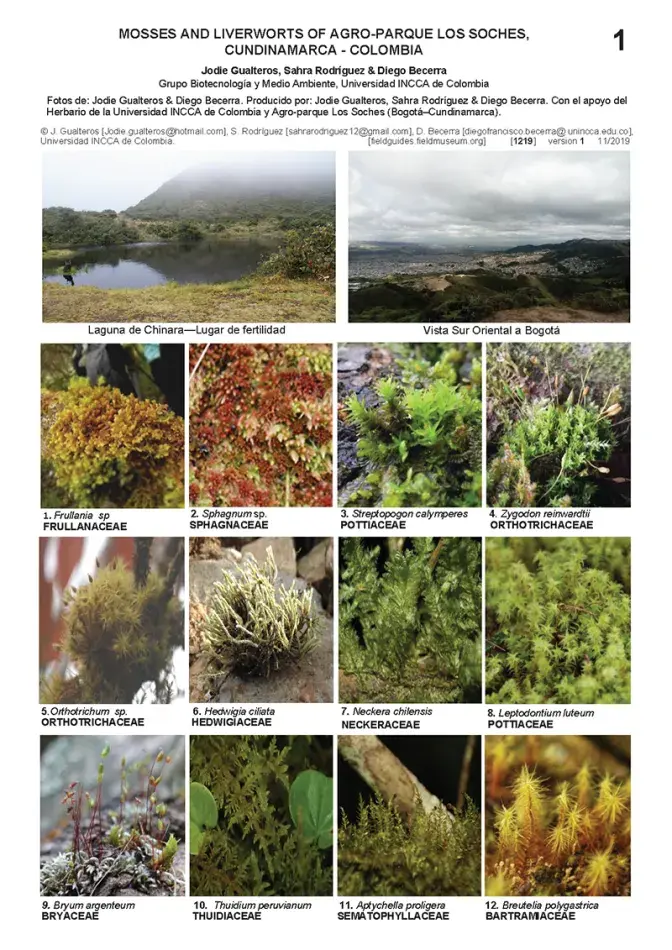 1219_colombia_mosses_and_liverworts_of_los_soles.pdf