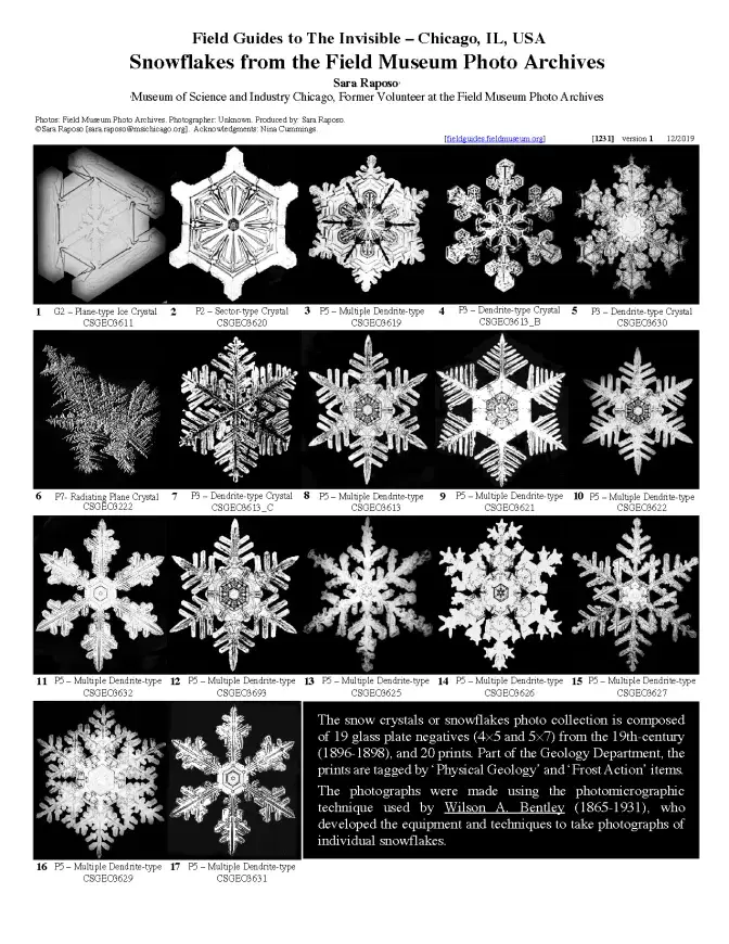 1231_usa_snowflakes.pdf 