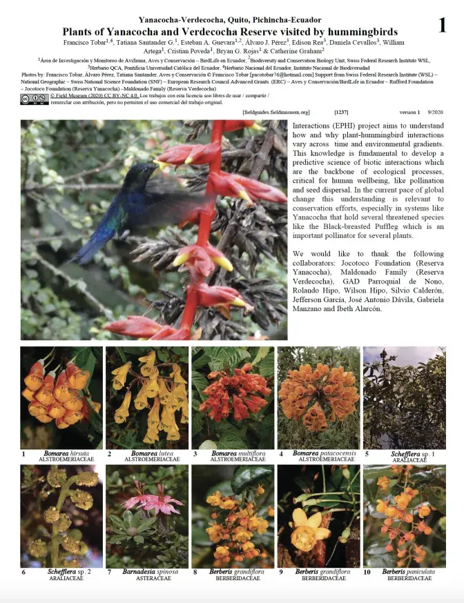 1237_ecuador_plants_of_yanacocha_and_verdecocha_reserve_visited_by_hummingbirds.pdf