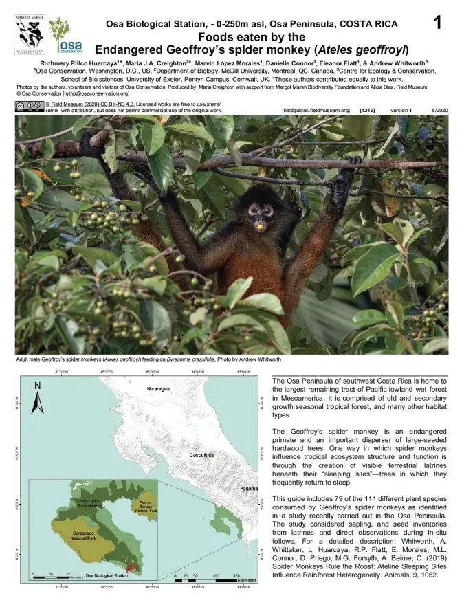 1245_costa_rica_spider_monkey_foods.pdf