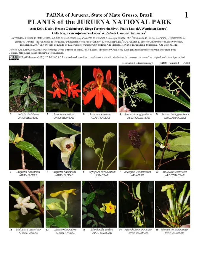 1258_brazil_plants_of_juruena_national_park.pdf 