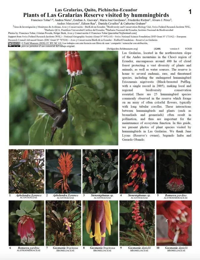  1268_ecuador_plants_of_las_gralarias_visited_by_hummingbirds.pdf