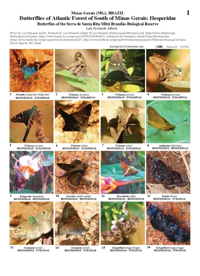 1286_brazil_hesperidae_of_the_serra_de_santa_rita_mitzi_brandao_biological_reserve.pdf