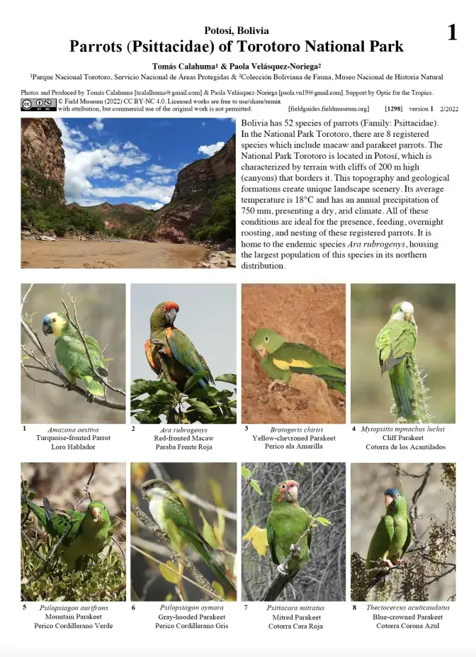 1298_bolivia_torotoro_macaws_parakeets.pdf 