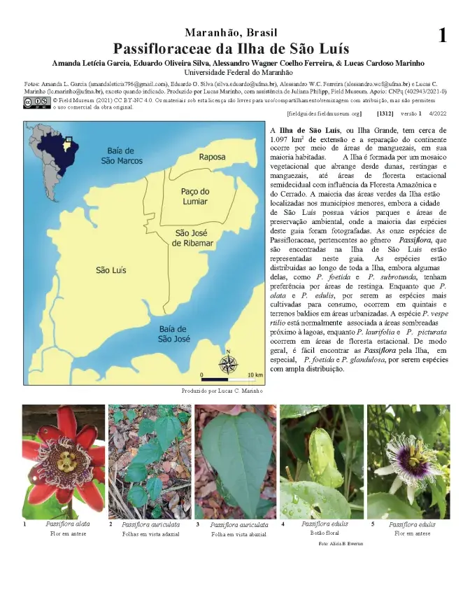 1312_brazil_passifloraceae_da_ilha_de_sao_luis.pdf