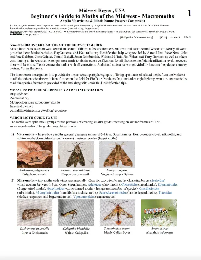 1325_usa_moths_macromoths.pdf 