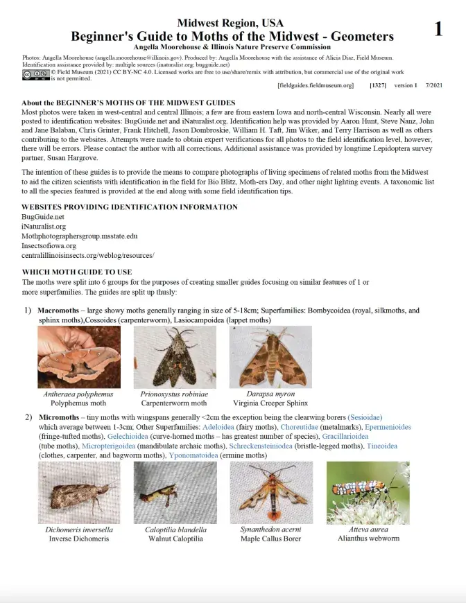 1327_usa_moths_geometer.pdf