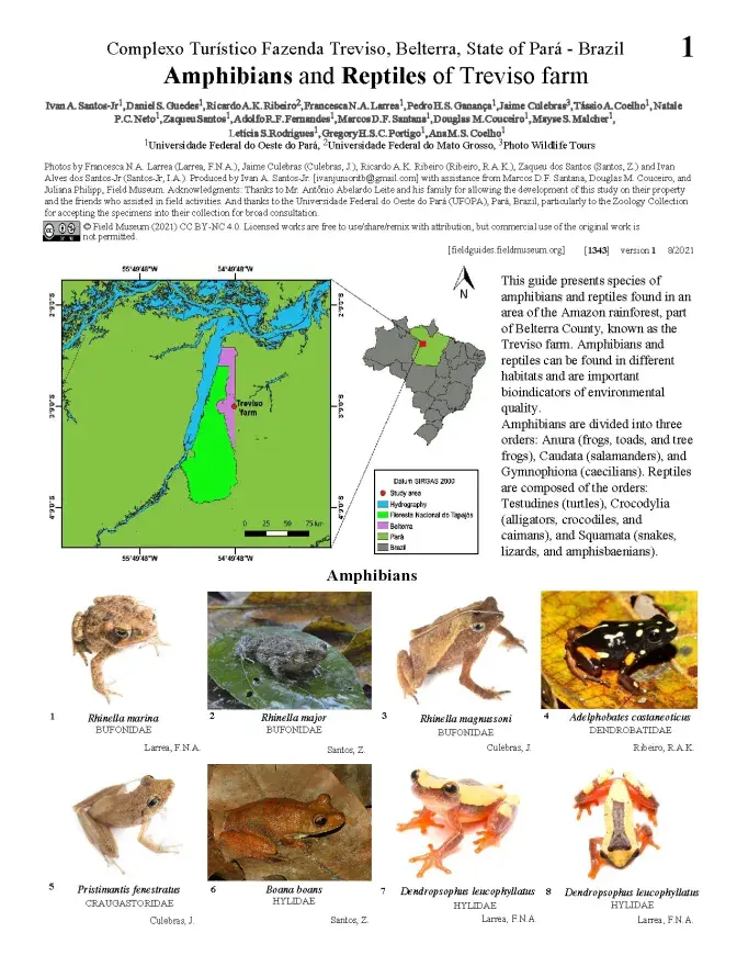 1343_brazil_amphibians_and_reptiles_of_treviso.pdf 