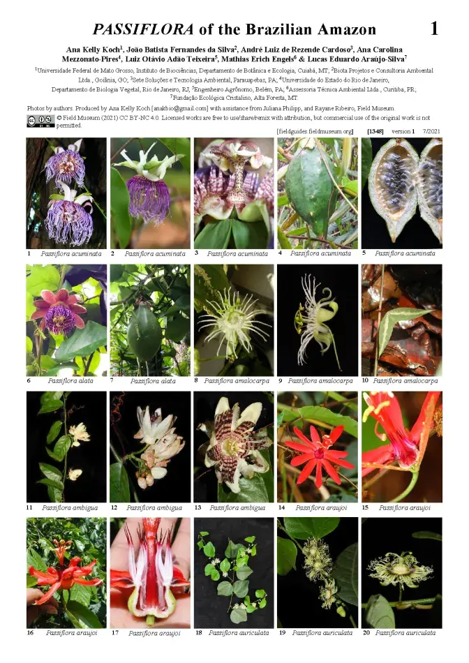 1348_brazil_passiflora_of_the_brazilian_amazon.pdf 