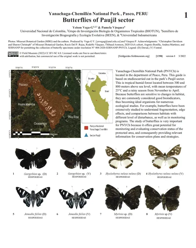 1350_peru_butterflies_of_paujilsector.pdf