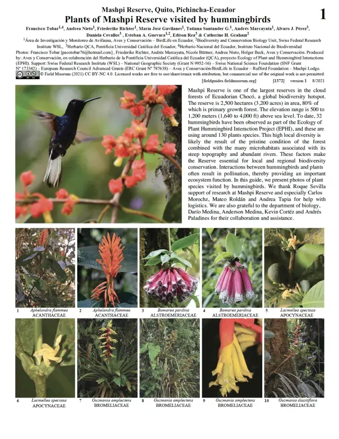 1372_ecuador_plants_hummingbirds_mashpireserve.pdf