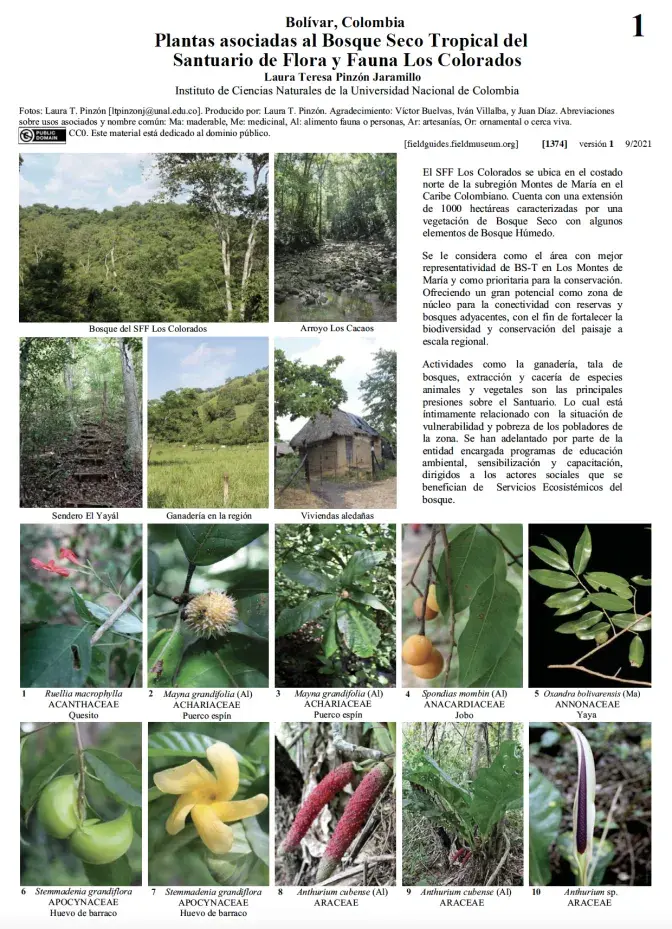 1374_colombia_loscolorados_bolivar_plantas.pdf