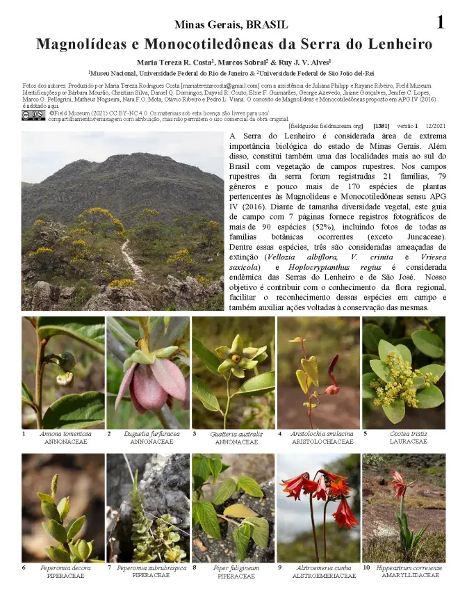 1381_brazil_magnolideas_e_monocotiledoneas_da_serra_do_lenheiro.pdf 